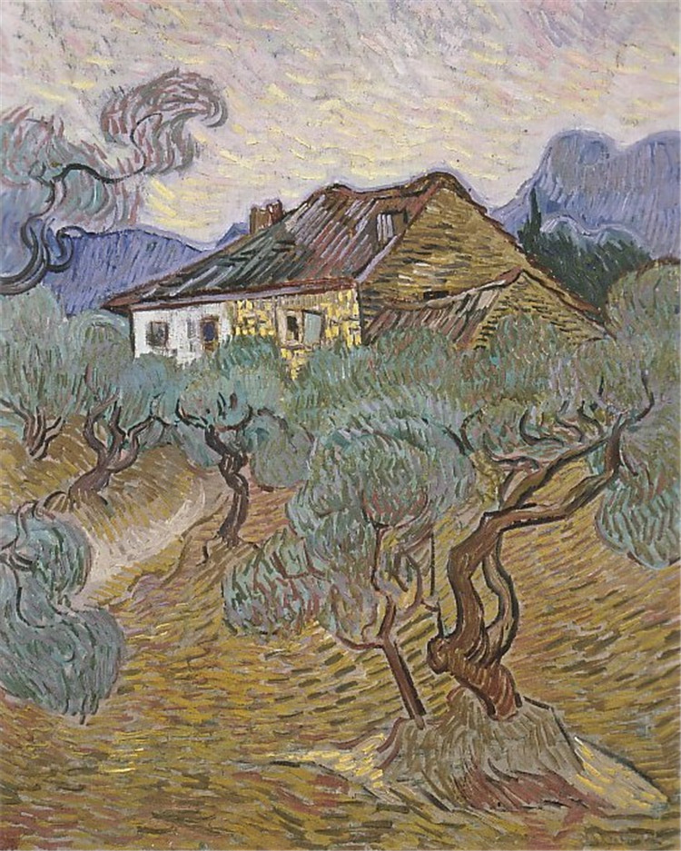 The White Cottage Among The Olive Trees